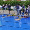 Froda2016 (14)
